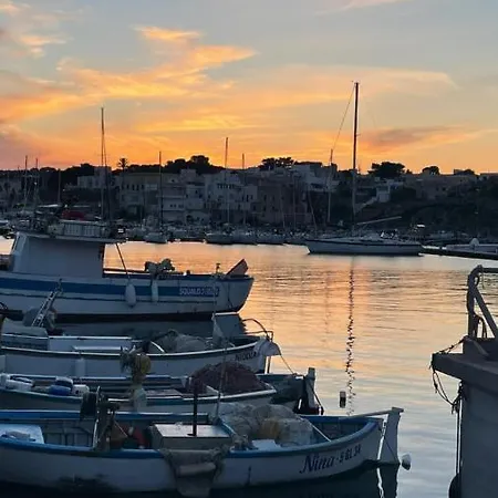 Muntiranni * Patù