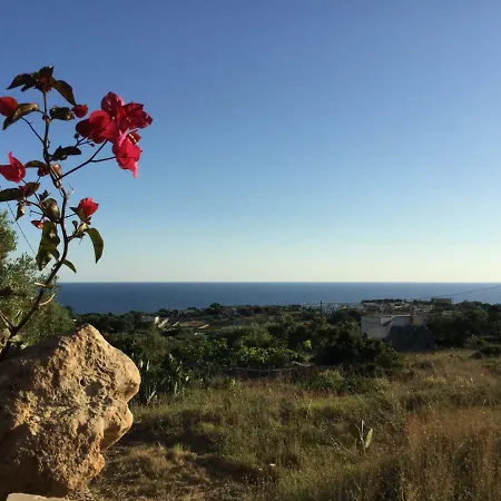 Muntiranni